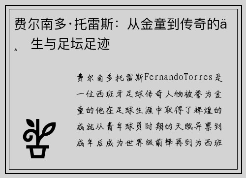 费尔南多·托雷斯：从金童到传奇的一生与足坛足迹